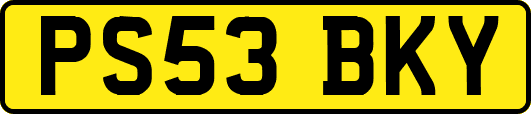 PS53BKY