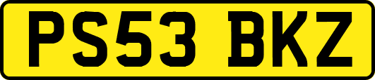 PS53BKZ