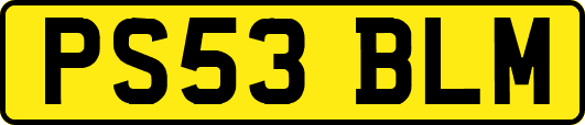 PS53BLM