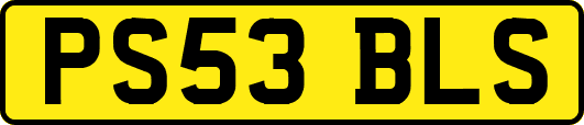 PS53BLS