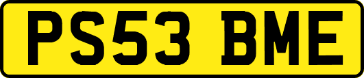PS53BME