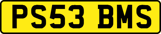 PS53BMS