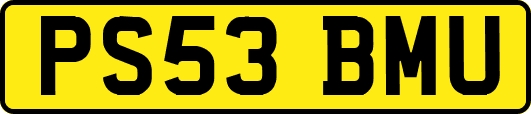 PS53BMU