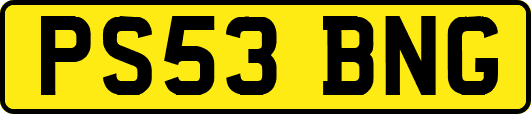 PS53BNG