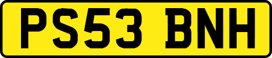 PS53BNH