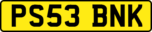 PS53BNK