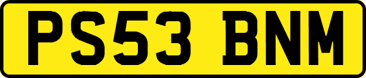 PS53BNM