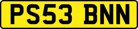 PS53BNN