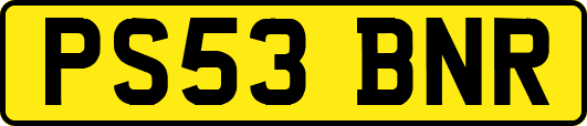 PS53BNR