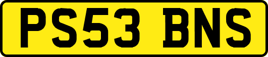 PS53BNS