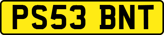 PS53BNT