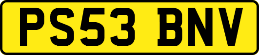 PS53BNV