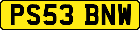PS53BNW