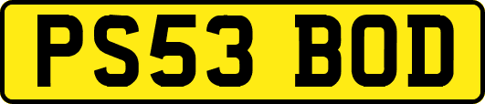 PS53BOD