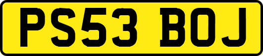 PS53BOJ