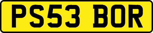 PS53BOR