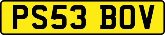 PS53BOV