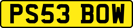 PS53BOW