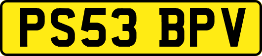 PS53BPV