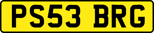 PS53BRG