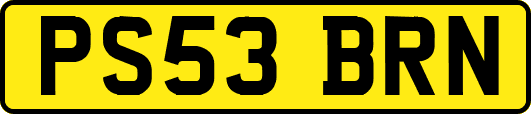 PS53BRN
