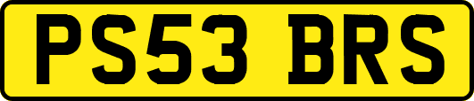 PS53BRS