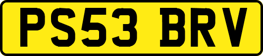 PS53BRV