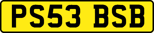 PS53BSB