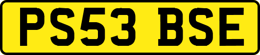 PS53BSE