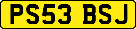 PS53BSJ