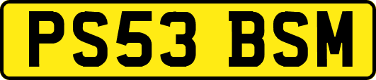 PS53BSM