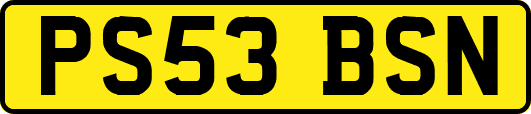 PS53BSN