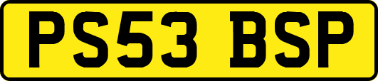 PS53BSP