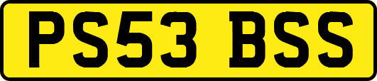 PS53BSS