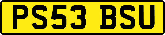 PS53BSU