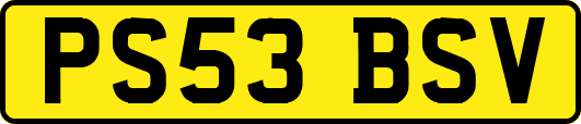 PS53BSV