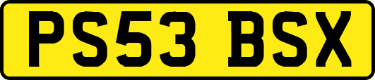 PS53BSX