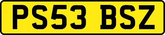 PS53BSZ