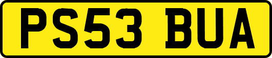 PS53BUA