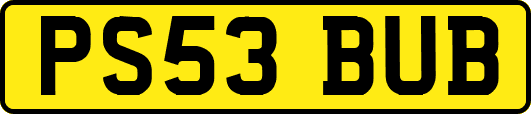 PS53BUB