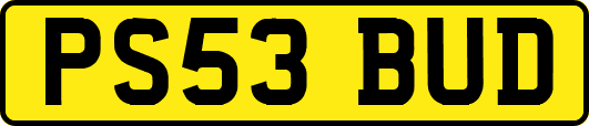 PS53BUD
