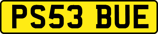 PS53BUE