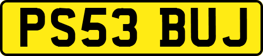PS53BUJ