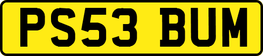 PS53BUM
