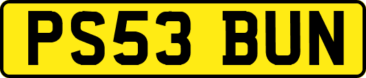 PS53BUN