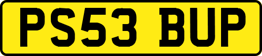 PS53BUP