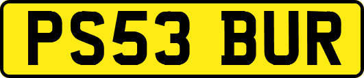 PS53BUR