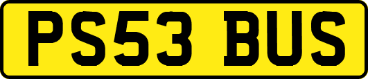 PS53BUS