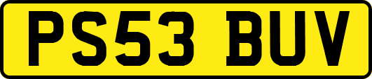 PS53BUV