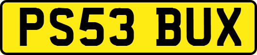PS53BUX